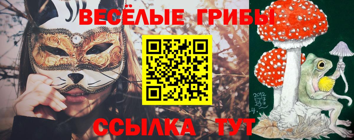 Галлюциногенные грибы Psilocybine cubensis  Вход с VPN  Сланцы 