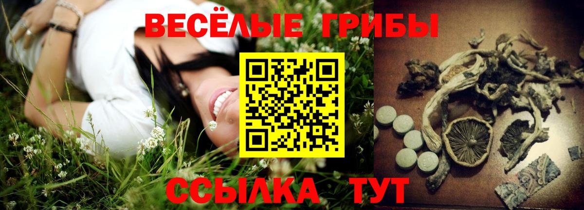 Псилоцибиновые грибы Magic Shrooms Сланцы